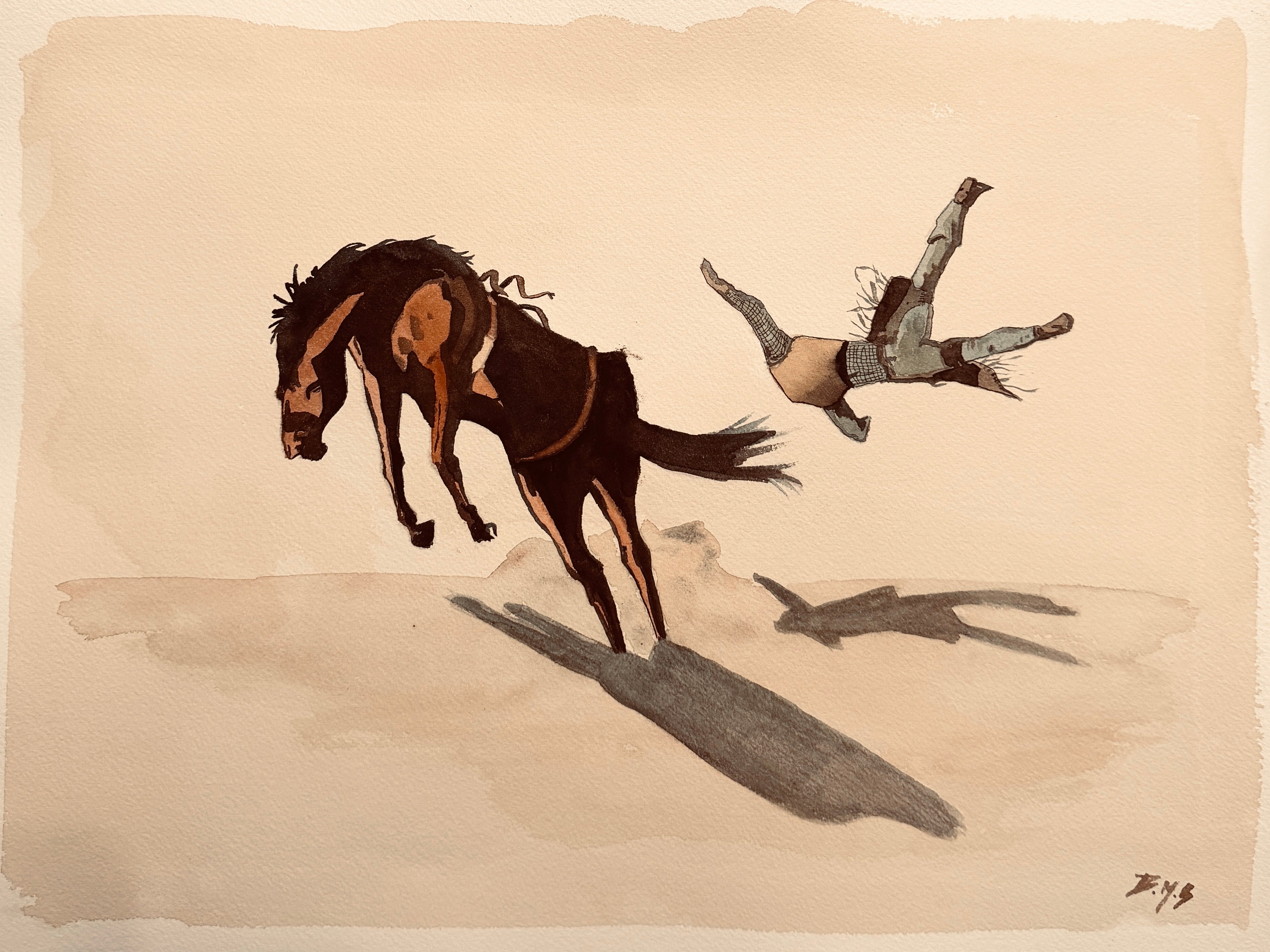 "A Brief Flight"